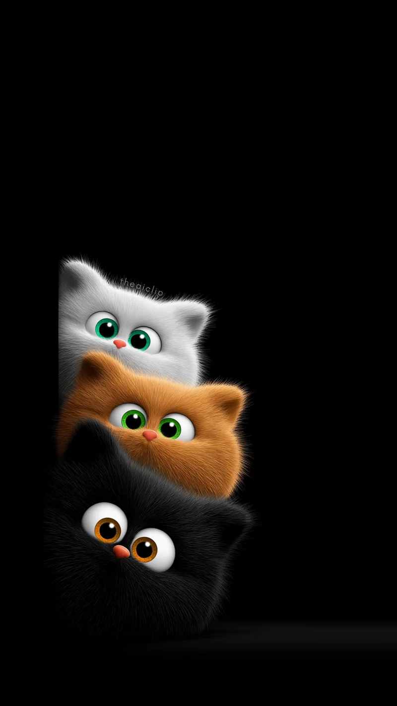 Cute Kittens Peek Dark Minimal Live Wallpaper Design Wallpaper | Picmaze