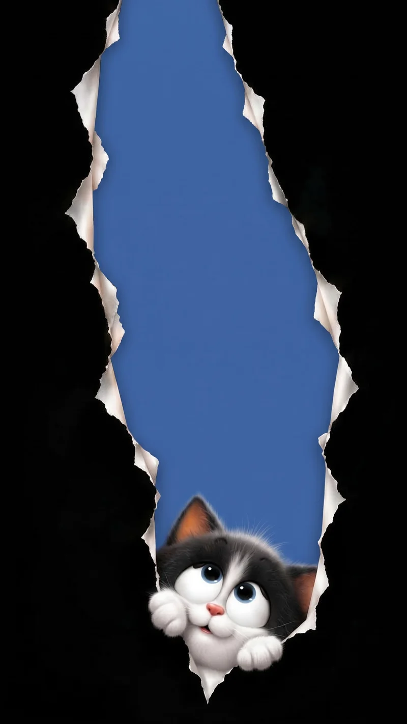 Curious Tuxedo Kitten Peeking Through Ripped Paper 4K Wallpaper Wallpaper | Picmaze