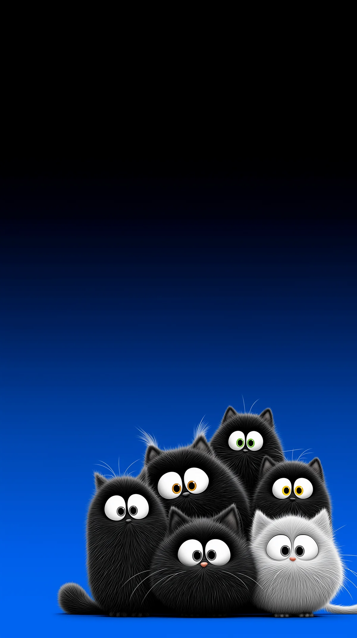 Cute Black Fluffy Cats on Blue Gradient 4K Wallpaper wallpaper - Cat Wallpapers | Picmaze