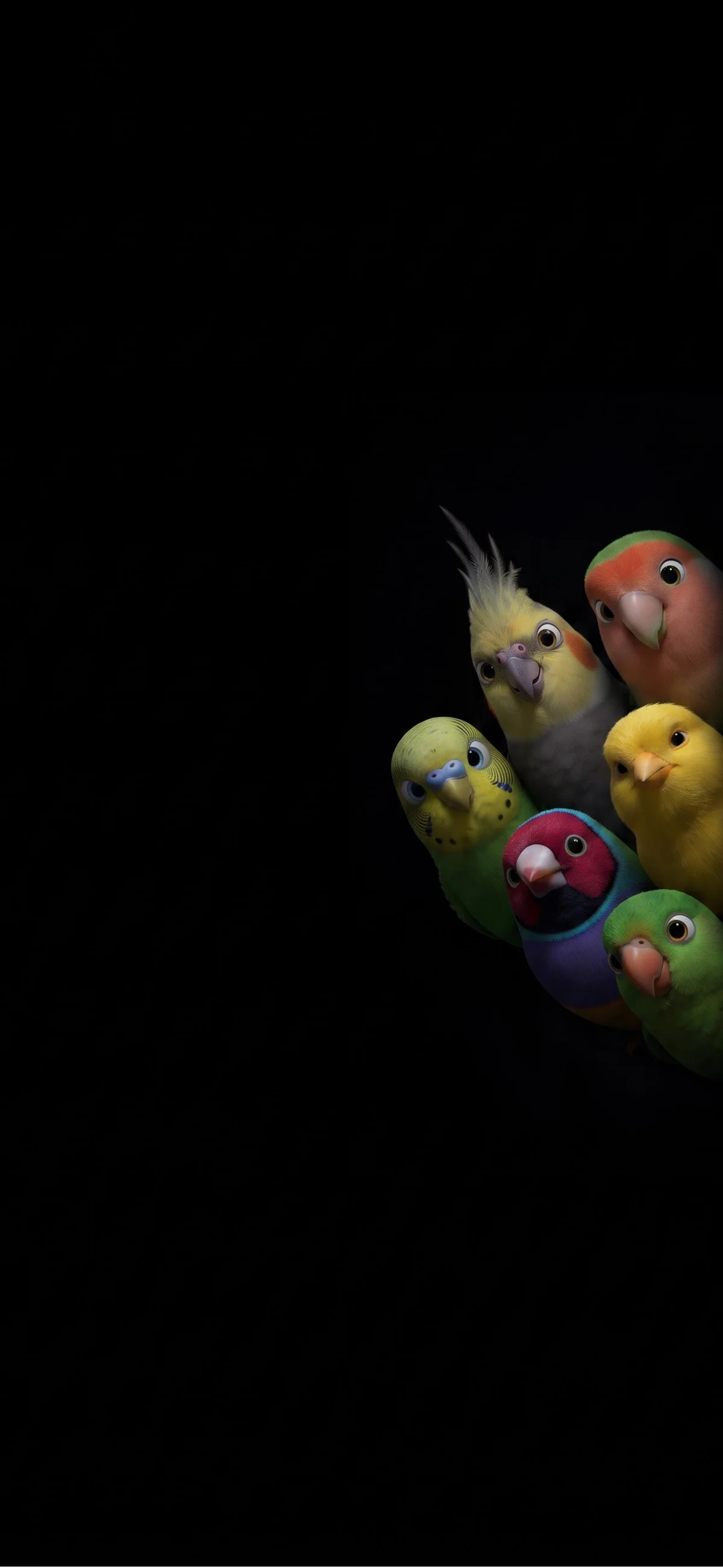 Vibrant Tropical Bird Flock Minimalist AMOLED Wallpaper wallpaper - ios wallpapers | Picmaze